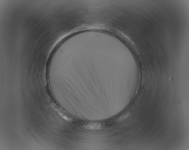 X0000080661174200701121558