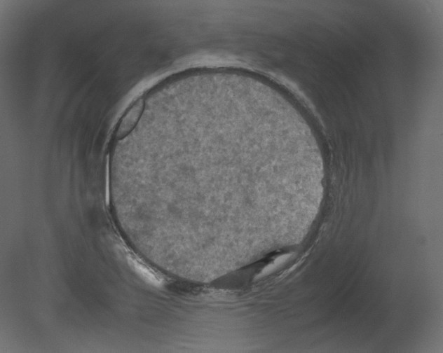 X0000080661175200701121558