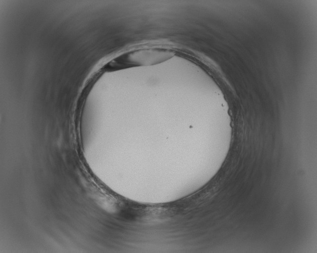 X0000080661176200701121558