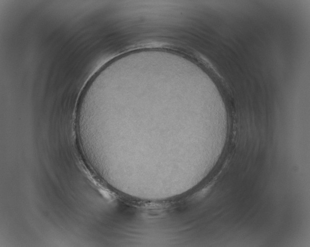 X0000080661178200701121558