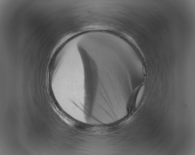 X0000080661179200701121558