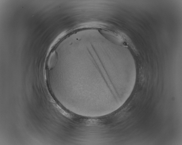 X0000080661180200701121558