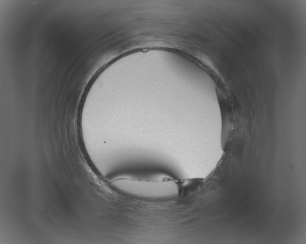 X0000080661181200701121558