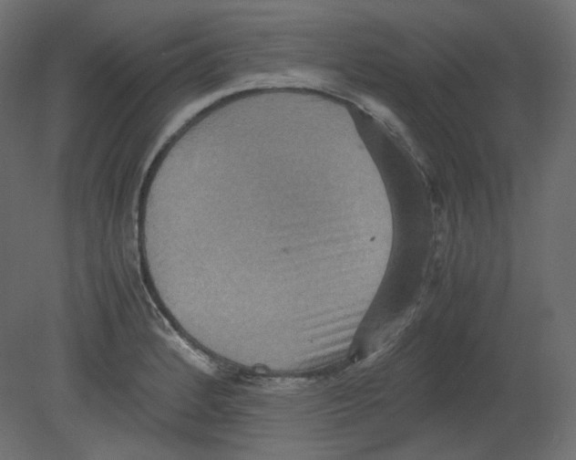 X0000080661184200701121558