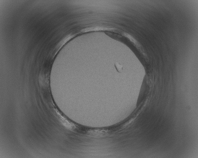 X0000080661185200701121558