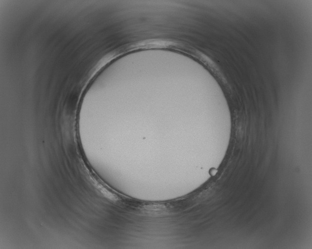 X0000080661186200701121558