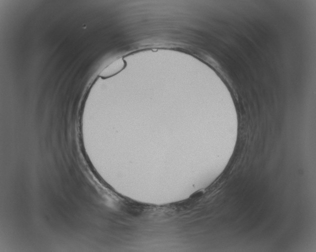 X0000080661187200701121558