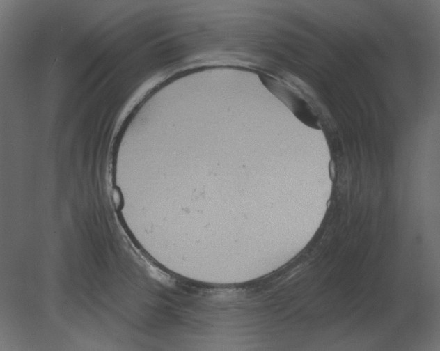 X0000080661188200701121558