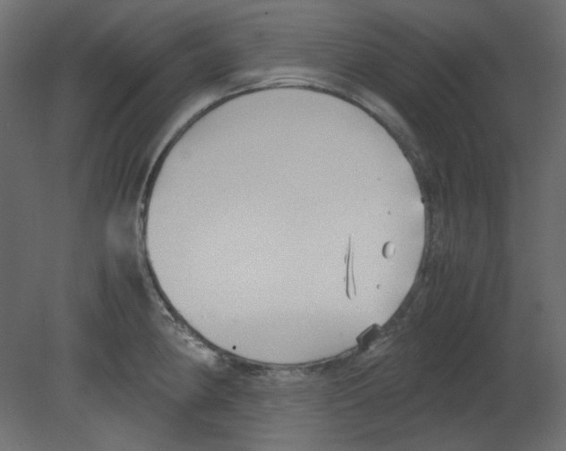 X0000080661190200701121558