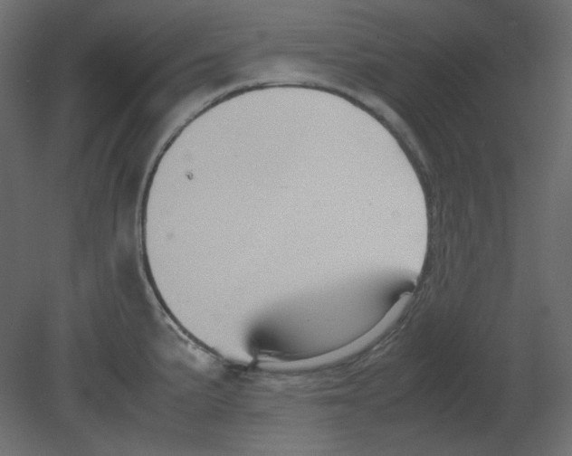 X0000080661191200701121558