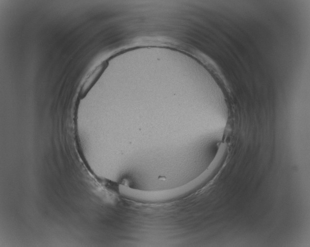 X0000080661192200701121558