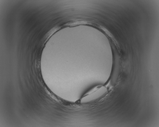 X0000080661193200701121558