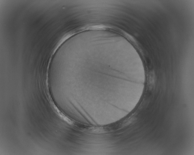 X0000080661194200701121558