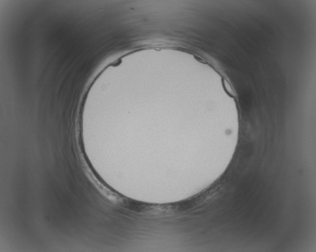 X0000080661195200701121558