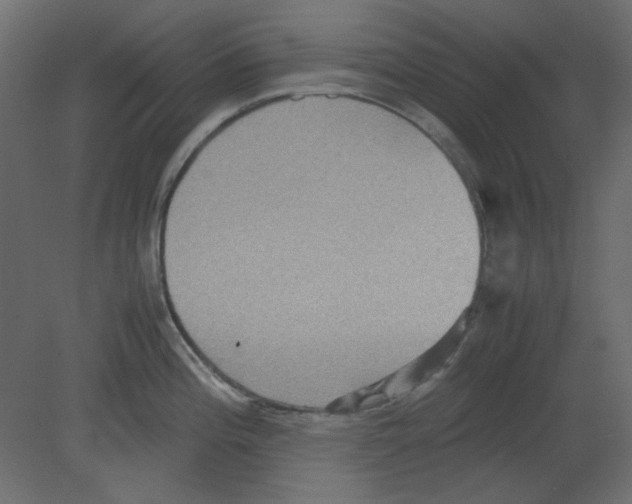 X0000080661196200701121558