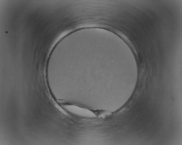 X0000080661197200701121558