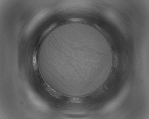 X0000080661198200701121558