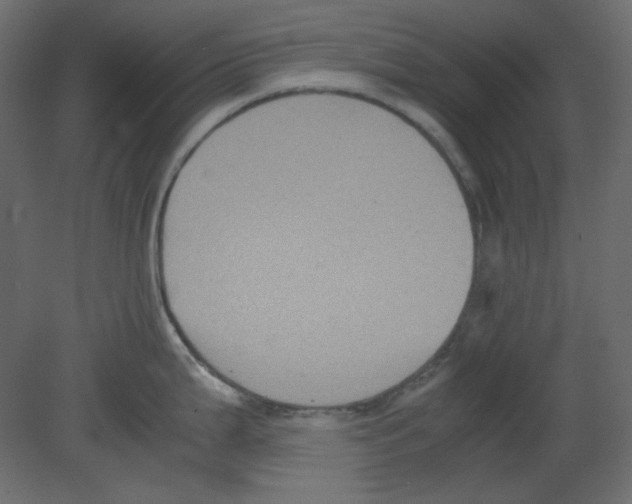 X0000080661199200701121558