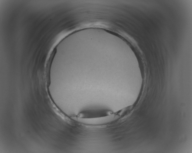 X0000080661200200701121558