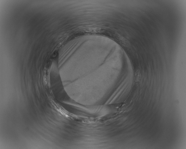 X0000080661202200701121557