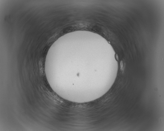 X0000080661203200701121557