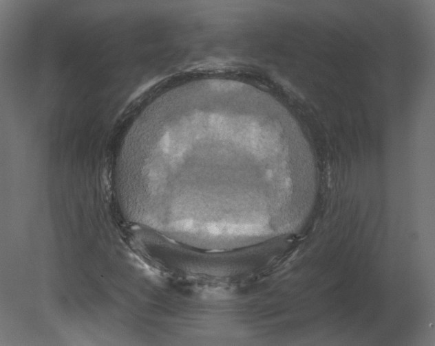 X0000080661206200701121557