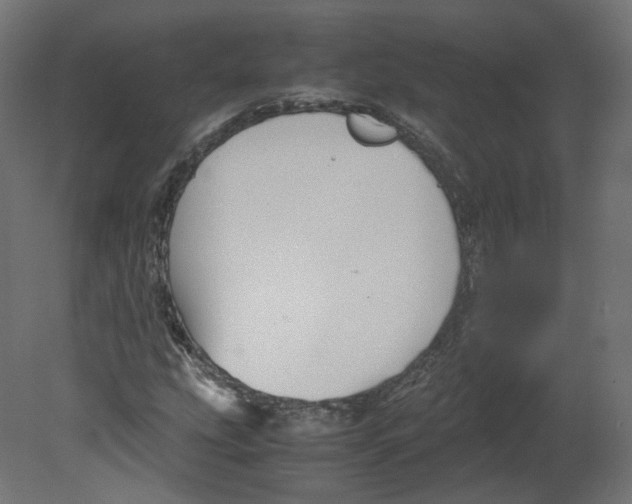 X0000080661207200701121557