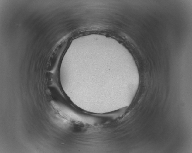 X0000080661210200701121557