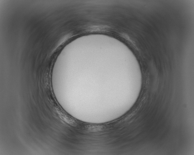 X0000080661211200701121557