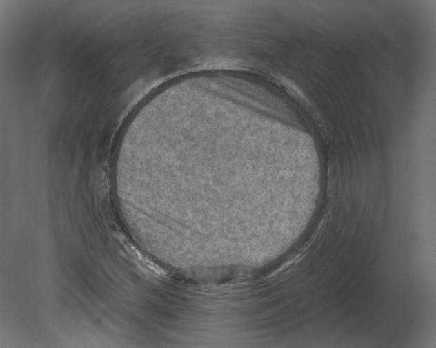 X0000080661212200701121557