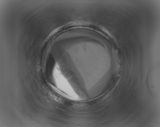 X0000080661213200701121557