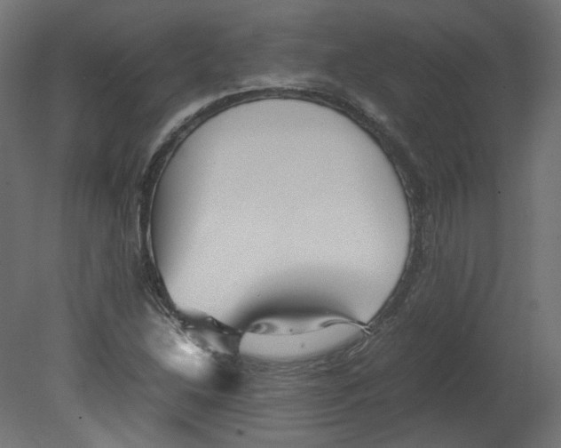 X0000080661214200701121557