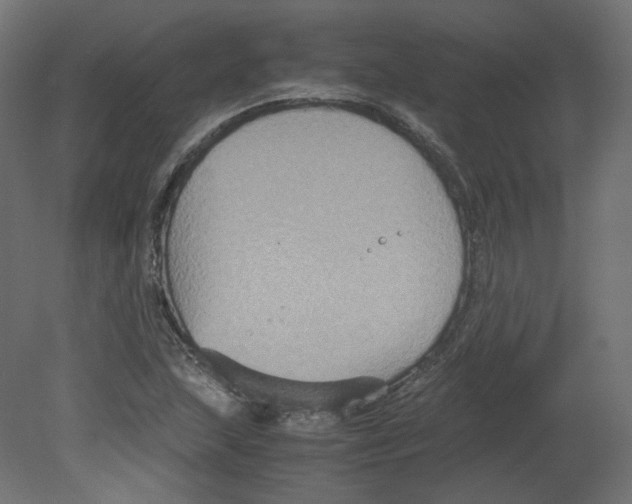 X0000080661215200701121557