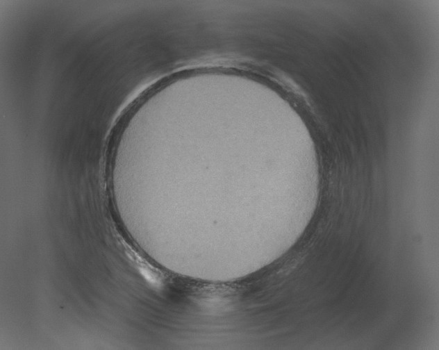 X0000080661216200701121557