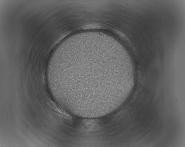 X0000080661217200701121557