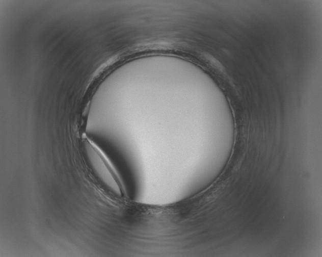 X0000080661218200701121558