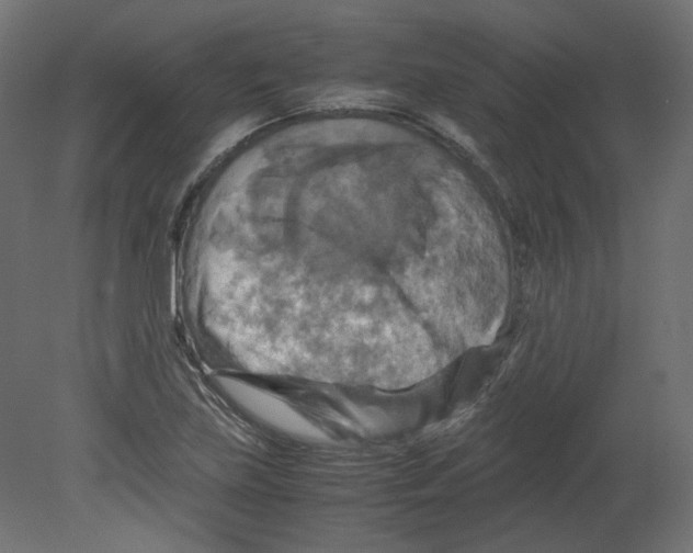 X0000080661219200701121558