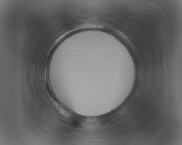 X0000080661220200701121558