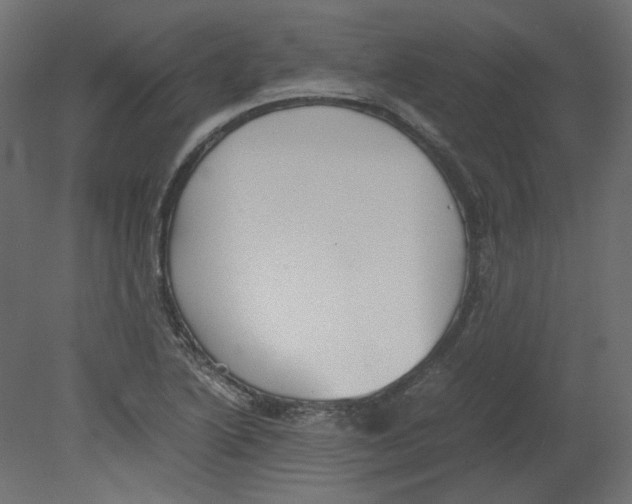 X0000080661222200701121558