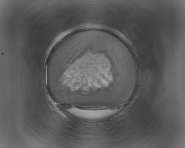 X0000080661223200701121558