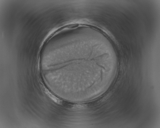 X0000080661224200701121558