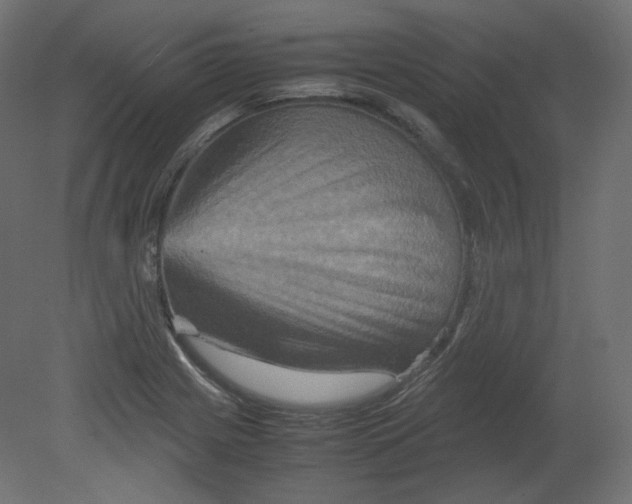 X0000080661225200701121558