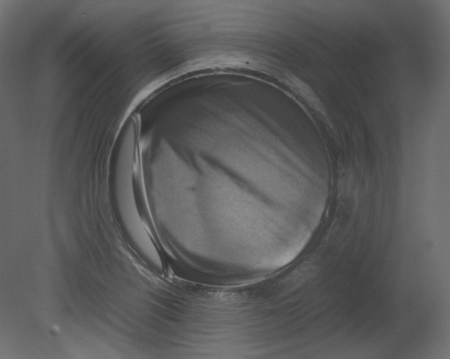 X0000080661226200701121558