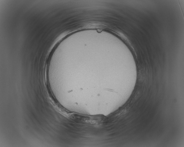 X0000080661227200701121558