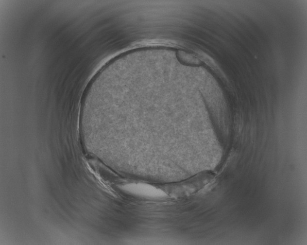 X0000080661228200701121558