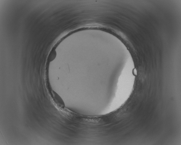 X0000080661229200701121558