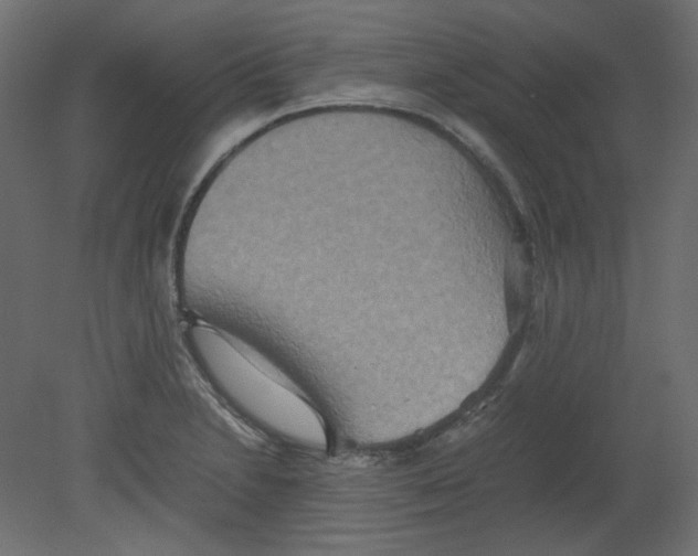 X0000080661230200701121558