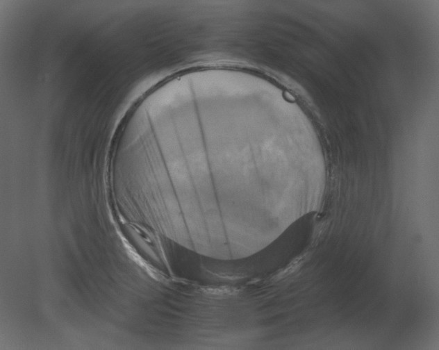 X0000080661231200701121558