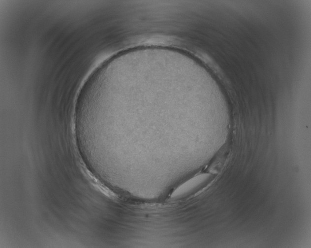 X0000080661232200701121558