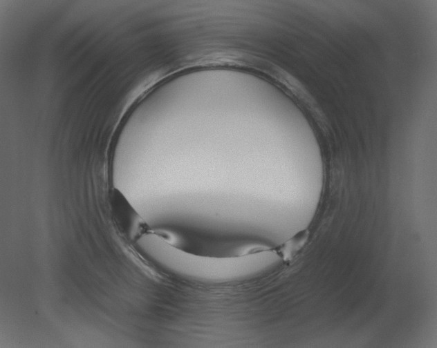 X0000080661234200701121558